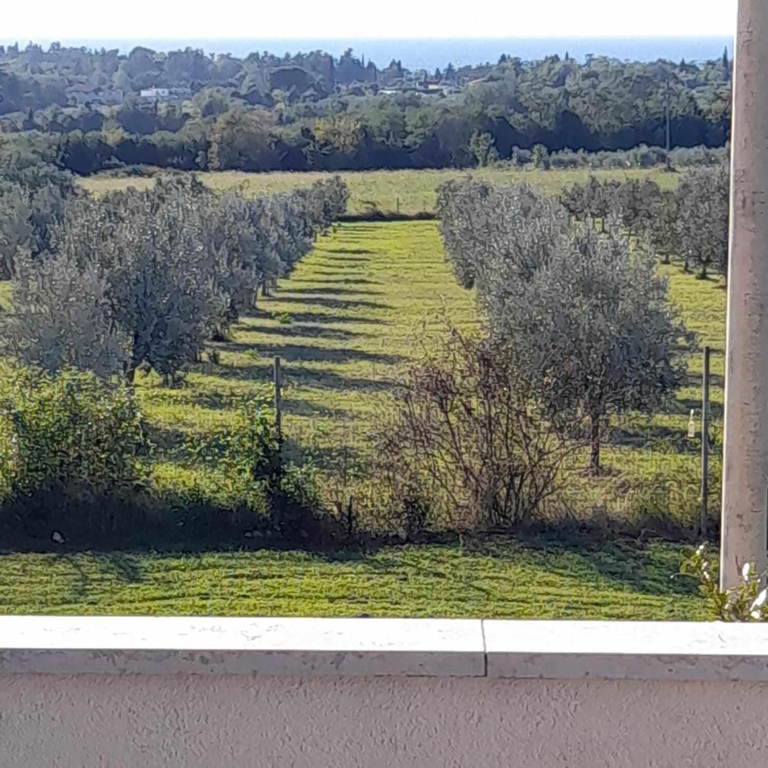Smokvica Savudrija Exterior foto